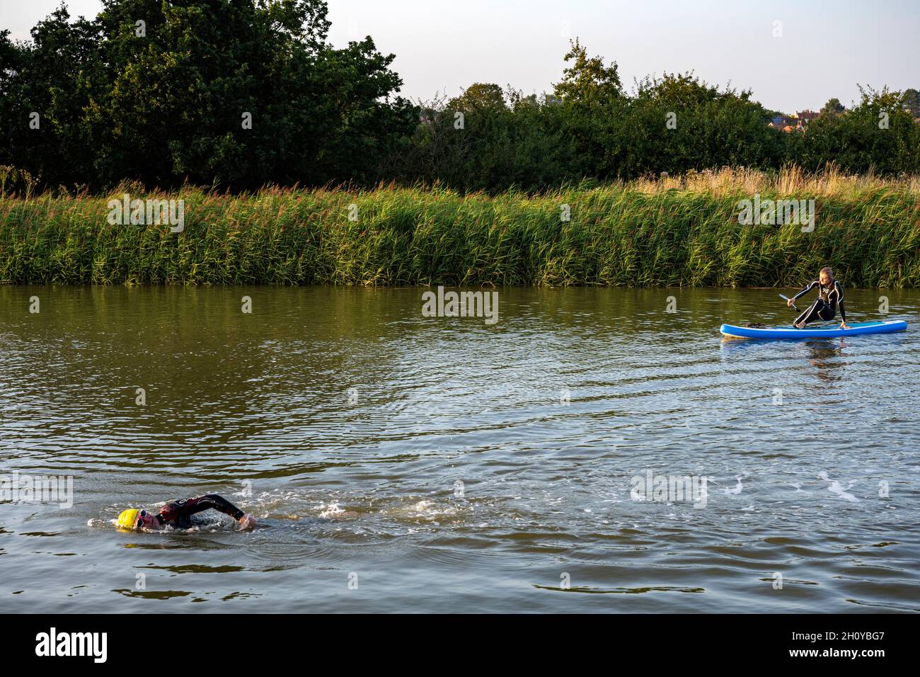 Swimmer front crawl hi-res stock photography and images - Alamy