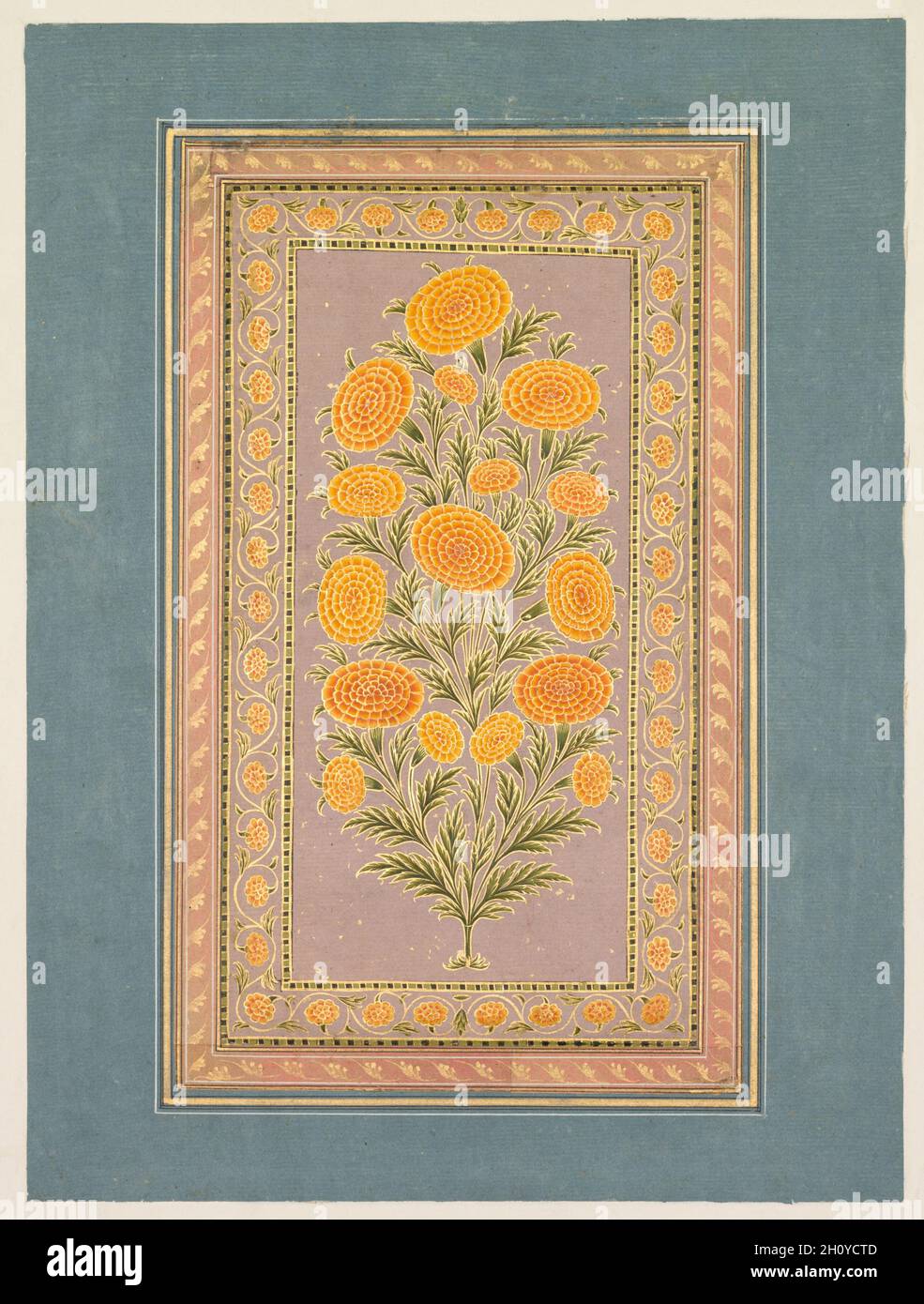 Flowering Marigold, c. 1765. Style of Hunhar II (Indian, active mid-1700s).  Opaque watercolor with gold on paper, narrow border of gold foliate meander  (verso); page: 33.1 x 24.9 cm (13 1/16 x