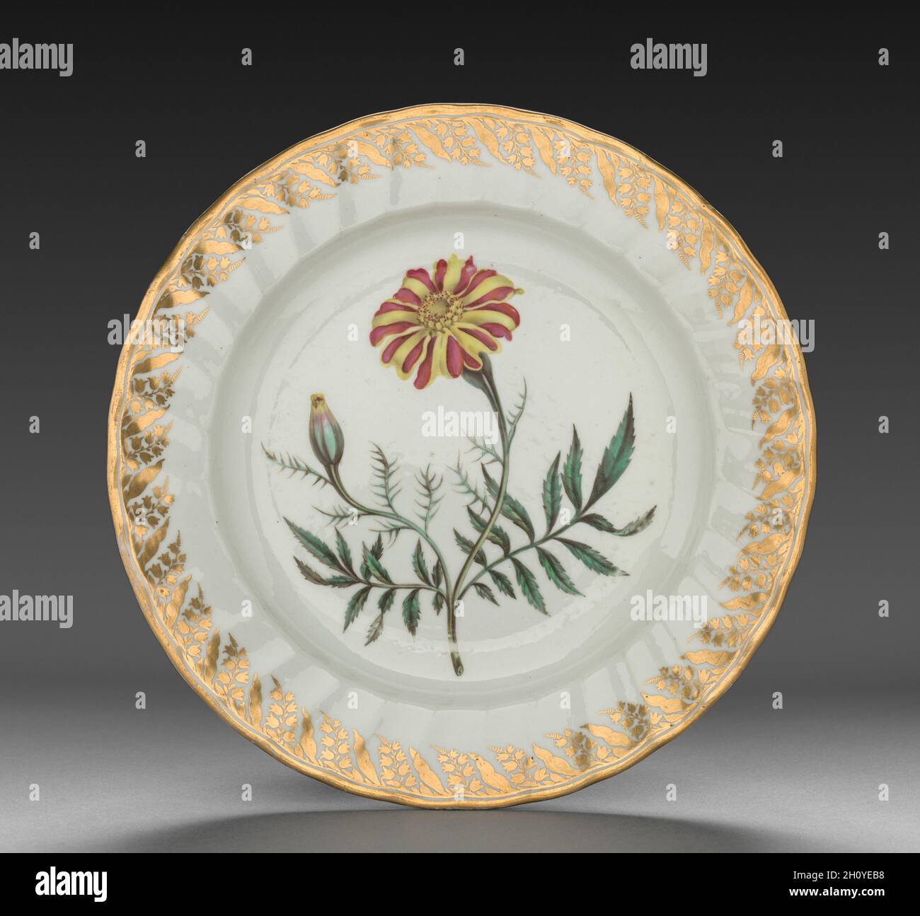 Plate from Dessert Service: French Marigold, c. 1800. Derby (Crown Derby Period) (British). Porcelain; diameter: 23.4 cm (9 3/16 in.); overall: 3.4 cm (1 5/16 in.).  Each dish is decorated with recognizable plants, the names of which are inscribed on the base in both Latin and English. Identifying the blossoms only became customary in the late 18th century when a single piece of porcelain was decorated with one species, and flowers were represented along with leaves, stems, seed pods, and roots. All of this reflects Carolus Linnaeus’s recent invention of a scientific method to categorize all k Stock Photo