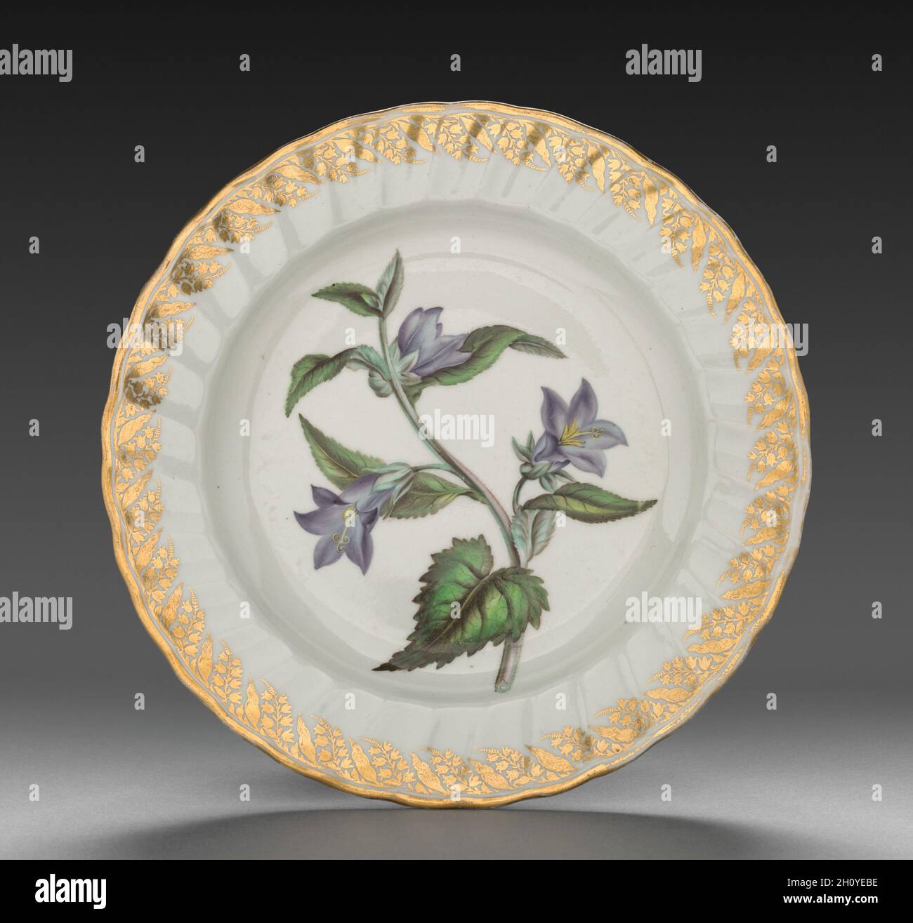 Plate from Dessert Service: Nettle Leaved Bell Flower, c. 1800. Derby (Crown Derby Period) (British). Porcelain; diameter: 23.4 cm (9 3/16 in.); overall: 3.1 cm (1 1/4 in.).  Each dish is decorated with recognizable plants, the names of which are inscribed on the base in both Latin and English. Identifying the blossoms only became customary in the late 18th century when a single piece of porcelain was decorated with one species, and flowers were represented along with leaves, stems, seed pods, and roots. All of this reflects Carolus Linnaeus’s recent invention of a scientific method to categor Stock Photo