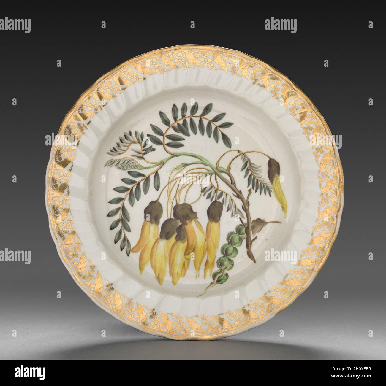 Plate from Dessert Service: Winged Podded Sophora, c. 1800. Derby (Crown Derby Period) (British). Porcelain; diameter: 23.5 cm (9 1/4 in.); overall: 3.1 cm (1 1/4 in.).  Each dish is decorated with recognizable plants, the names of which are inscribed on the base in both Latin and English. Identifying the blossoms only became customary in the late 18th century when a single piece of porcelain was decorated with one species, and flowers were represented along with leaves, stems, seed pods, and roots. All of this reflects Carolus Linnaeus’s recent invention of a scientific method to categorize a Stock Photo
