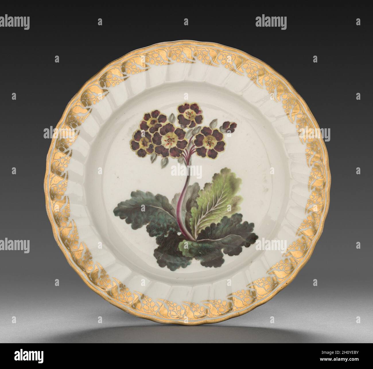 Plate from Dessert Service: Polyanthus, c. 1800. Derby (Crown Derby Period) (British). Porcelain; diameter: 23.6 cm (9 5/16 in.); overall: 3.4 cm (1 5/16 in.).  Each dish is decorated with recognizable plants, the names of which are inscribed on the base in both Latin and English. Identifying the blossoms only became customary in the late 18th century when a single piece of porcelain was decorated with one species, and flowers were represented along with leaves, stems, seed pods, and roots. All of this reflects Carolus Linnaeus’s recent invention of a scientific method to categorize all known Stock Photo