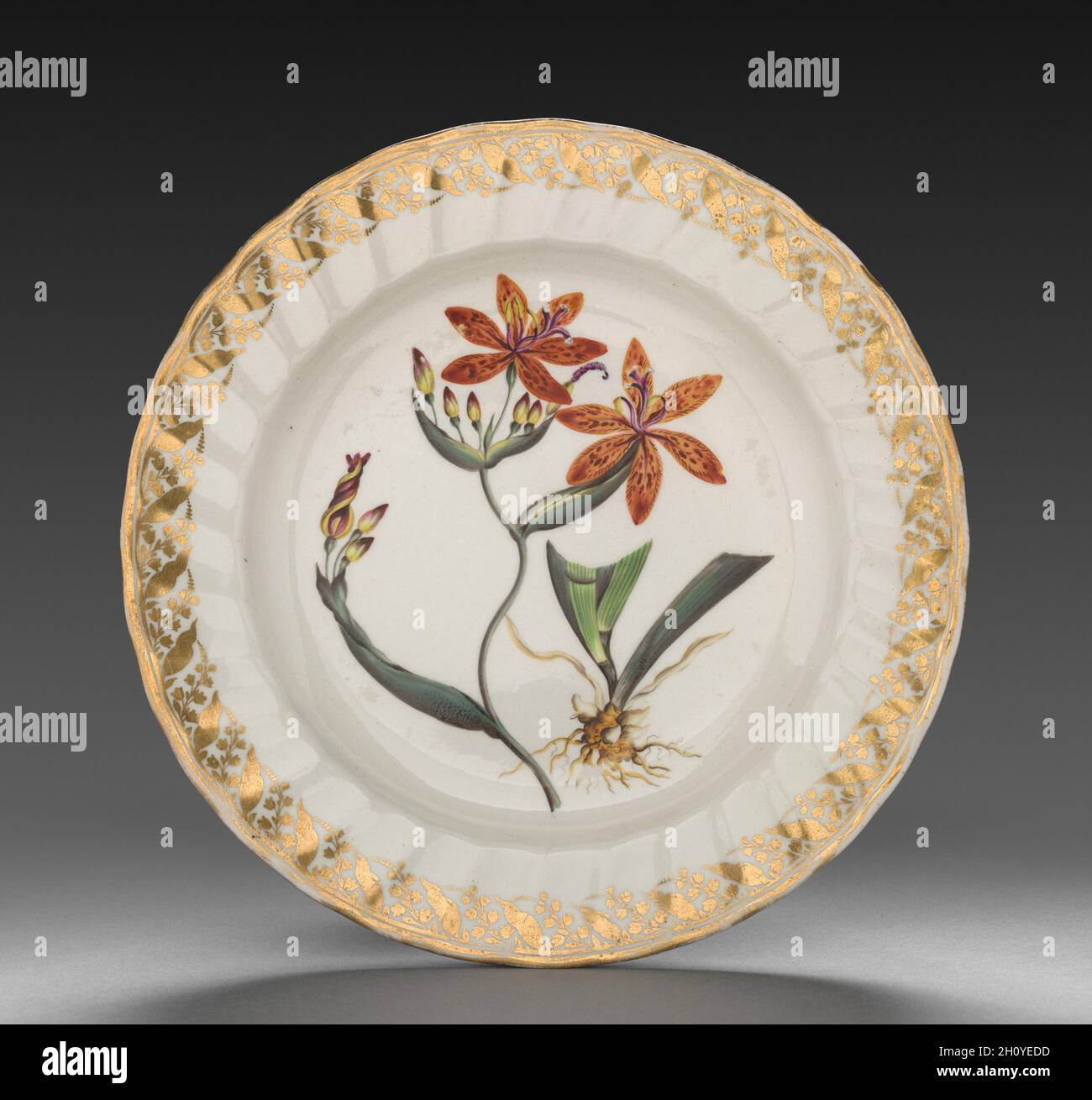Plate from Dessert Service: Chinese Ixia, c. 1800. Derby (Crown Derby Period) (British). Porcelain; diameter: 23.7 cm (9 5/16 in.); overall: 3.2 cm (1 1/4 in.).  Each dish is decorated with recognizable plants, the names of which are inscribed on the base in both Latin and English. Identifying the blossoms only became customary in the late 18th century when a single piece of porcelain was decorated with one species, and flowers were represented along with leaves, stems, seed pods, and roots. All of this reflects Carolus Linnaeus’s recent invention of a scientific method to categorize all known Stock Photo