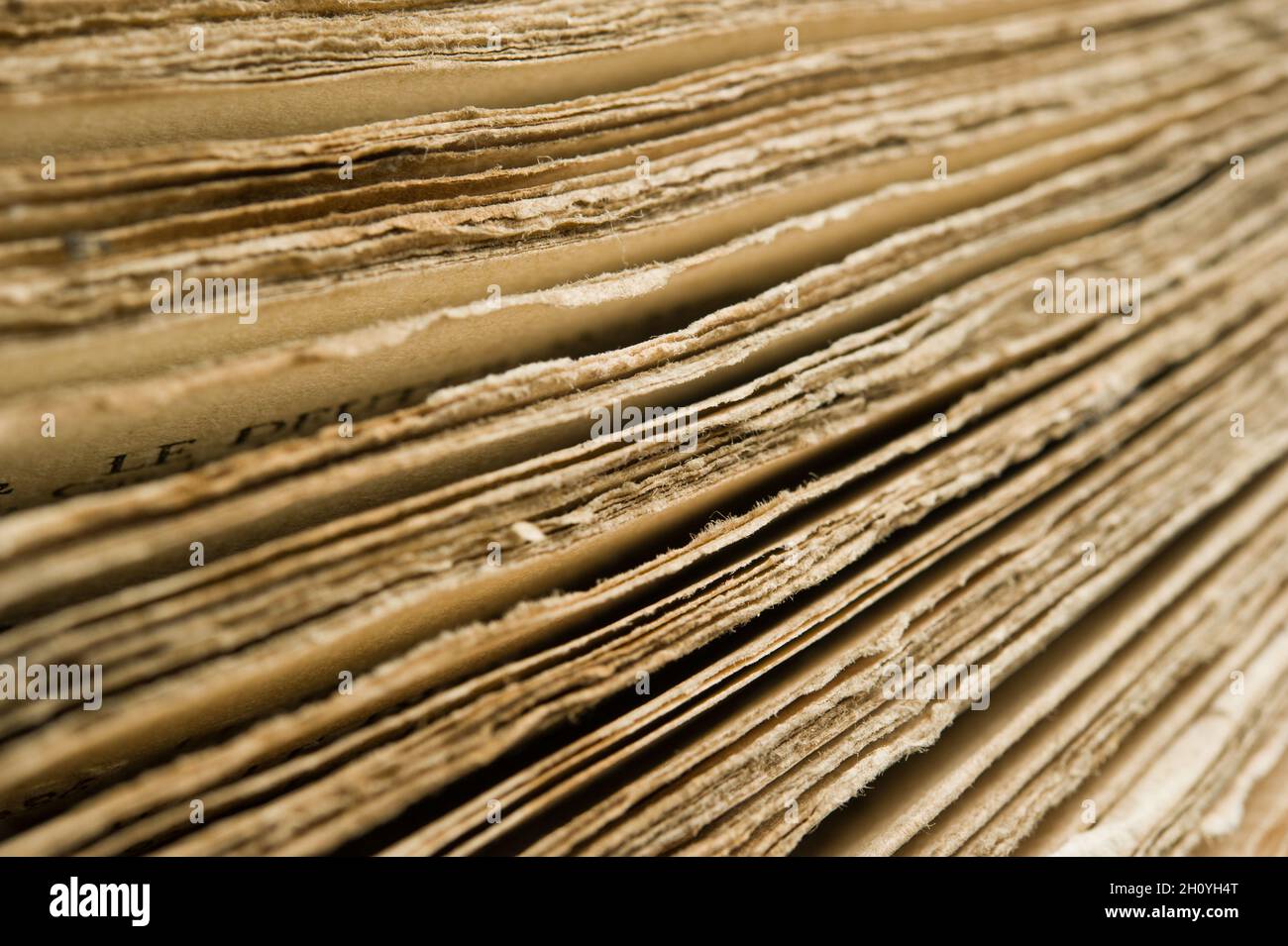 macro detail of the pages of an antique book Stock Photo