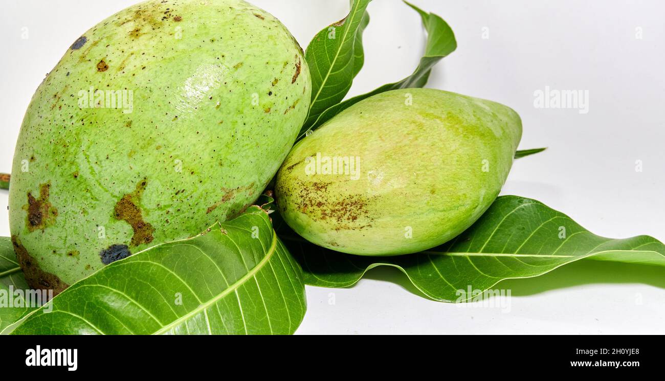 Closeup of fresh mango fruit. vitamin fruit. delicious mango ready to