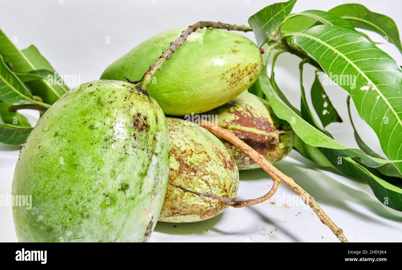 Close-up of fresh mango fruit. vitamin fruit. delicious mango ready to ...