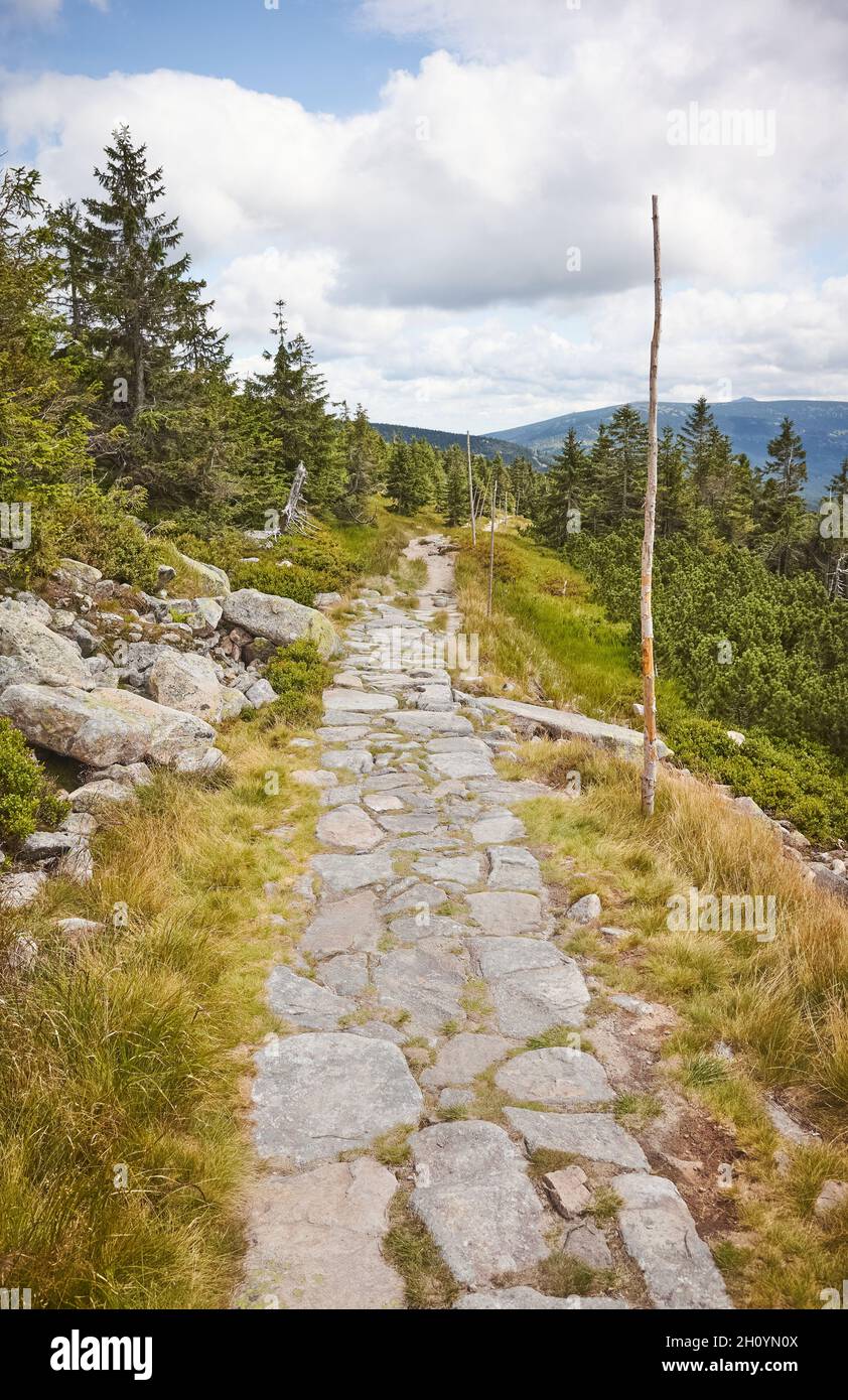 Trail in Karkonosze (Giant Mountains), Czech Republic. Stock Photo