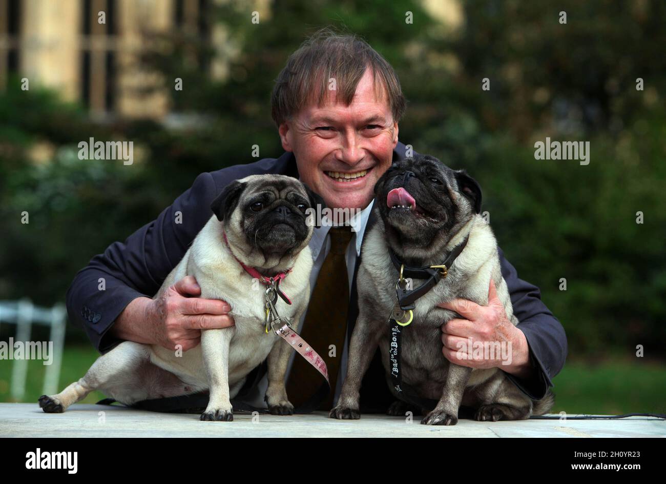 EDITORIAL USE ONLY File photo dated 10/10/13 of Conservative MP David Amess with his pugs, Lily and Boat at the Westminster Dog of the Year competition at Victoria Tower Gardens in London. Conservative MP Sir David Amess has reportedly been stabbed several times at a surgery in his Southend West constituency. Issue date: Friday October 15, 2021. Stock Photo