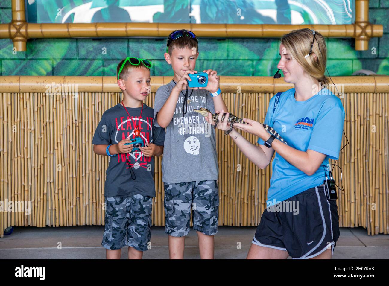 Animal handler shows baby alligator to two boy guests at Ocean Adventures Marine Park in Gulfport, Mississippi Stock Photo