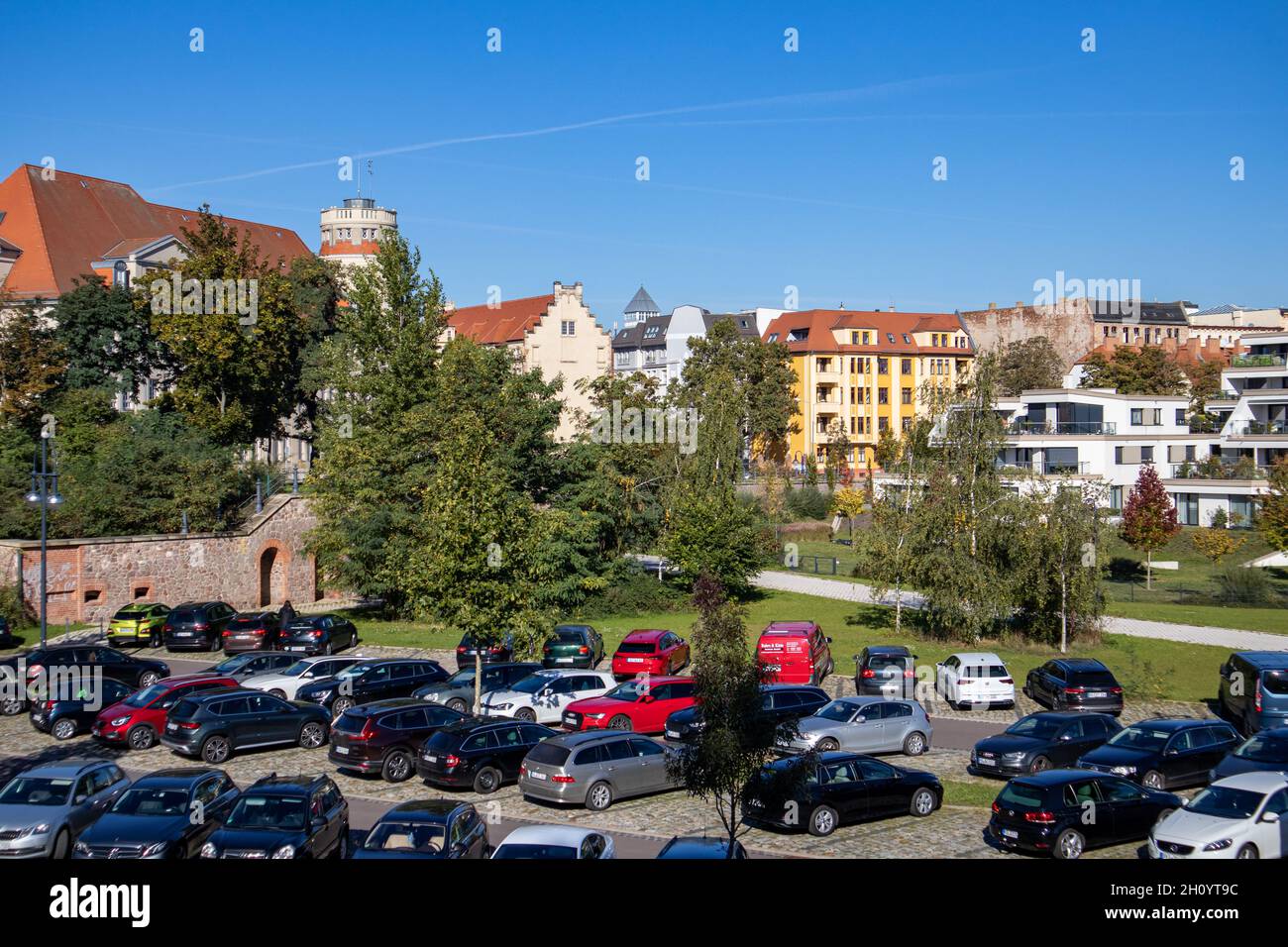 bilder von tierheim der landeshauptstadt magdeburg