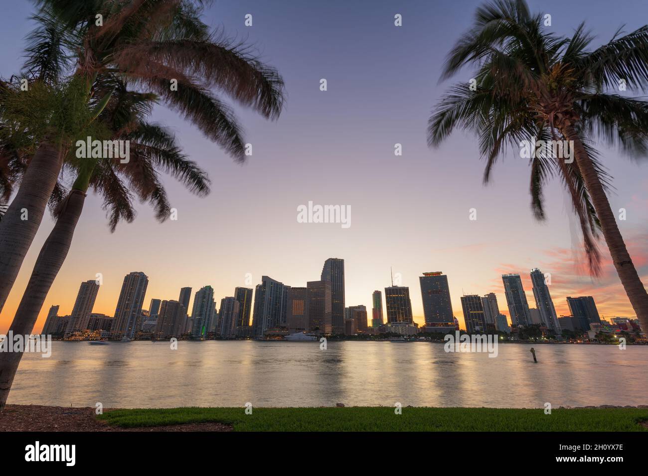 Miami, Florida, USA skyline on Biscayne Bay with palms at dusk. Stock Photo