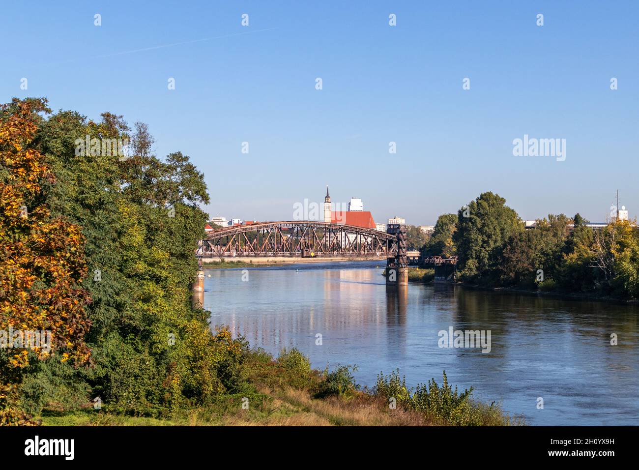 tierheim der landeshauptstadt magdeburg fotos