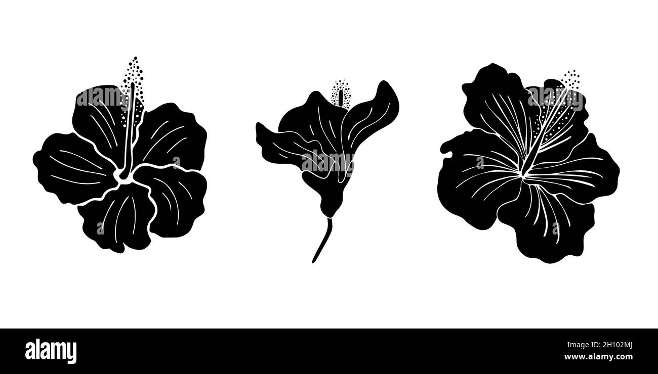 Hibiscus flower silhouette