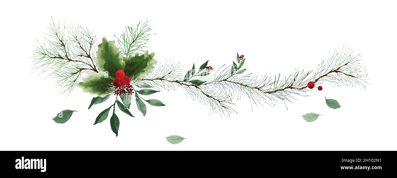 Horizontal border with green pine branches and holly berry on white background. Suitable for decorative in Christmas festival, header design, cover, g Stock Vector