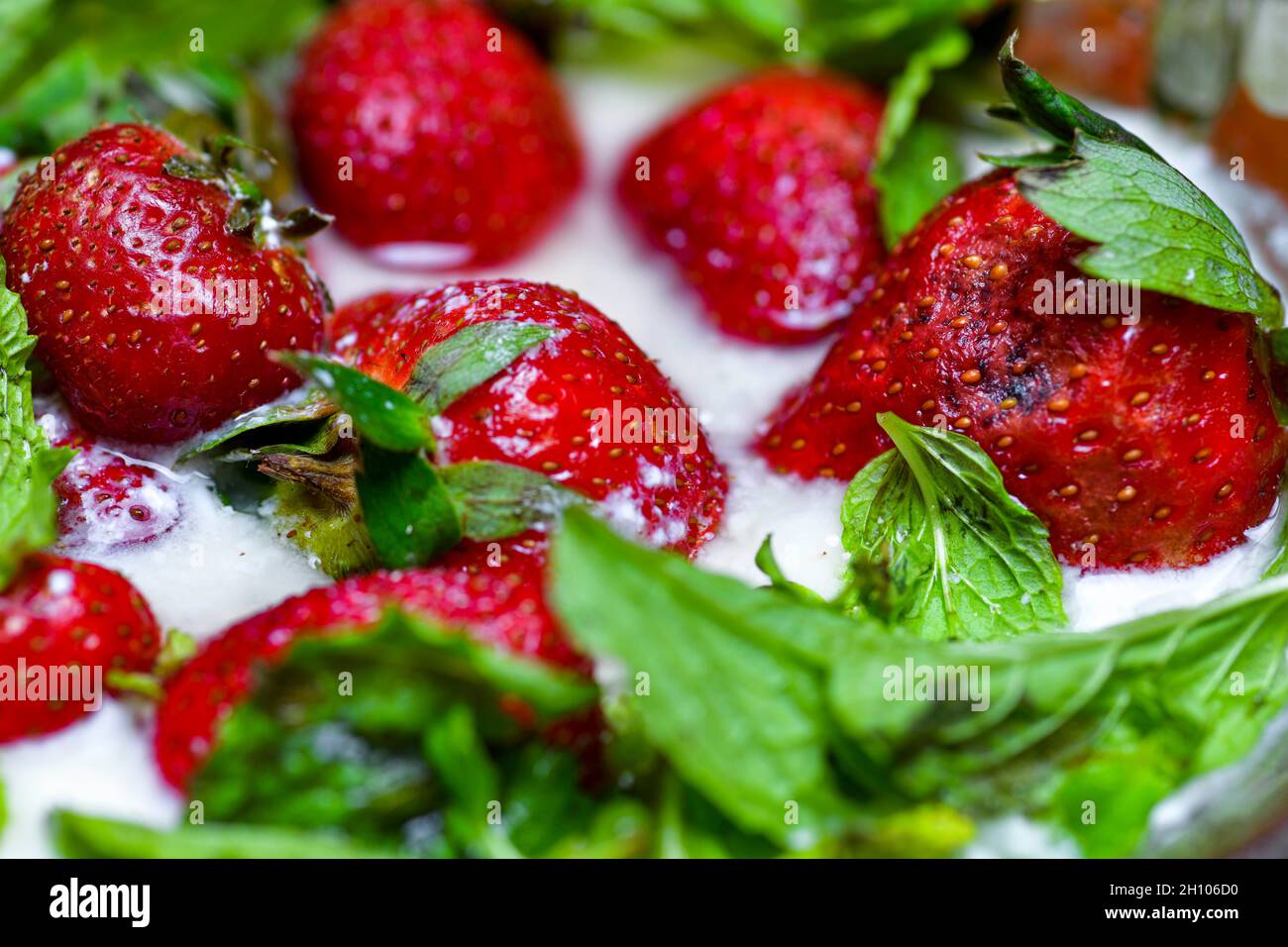 Digestivesystem hires stock photography and images Alamy