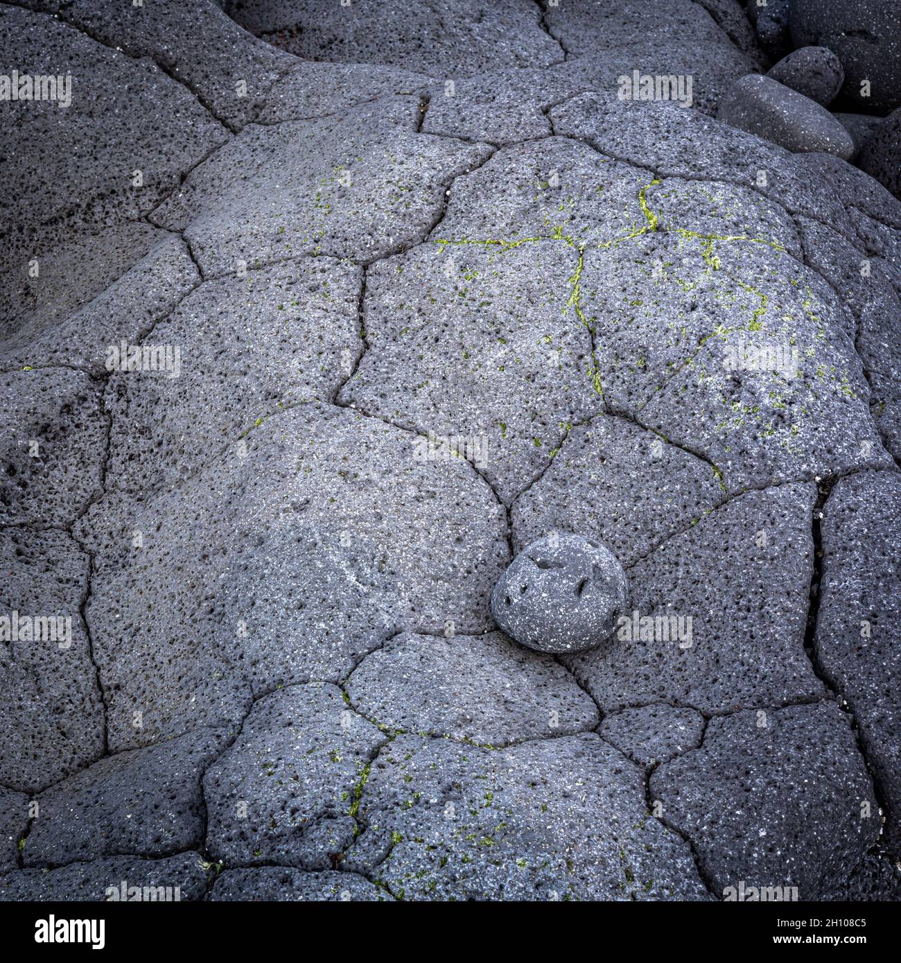 A small round lava stone laying on a cracked, grey vulcanic rock, Hvaleyri beach, Iceland. Stock Photo