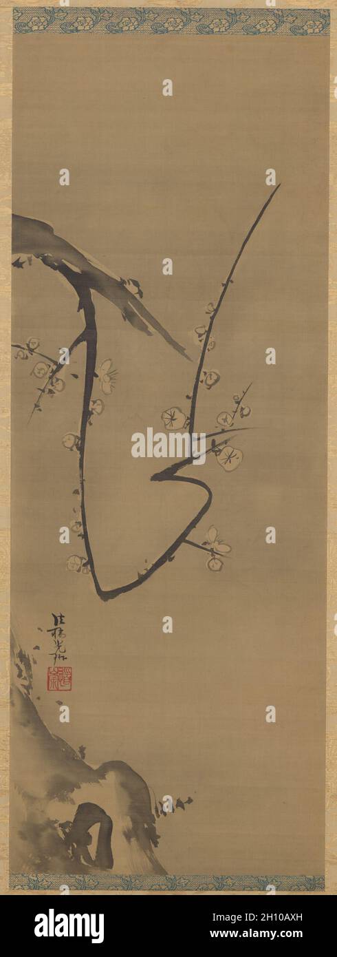 Plum Tree, c. 1700. Ogata Kōrin (Japanese, 1658-1716). Hanging scroll; ink on silk; image: 94 x 35.4 cm (37 x 13 15/16 in.); including mounting: 177.2 x 51.8 cm (69 3/4 x 20 3/8 in.).  Ogata K?rin had to think through his design carefully to create these white plum blossoms and deliver their effect, as he used the reserve technique—where selected areas of the painting surface are left unpainted—to achieve it. He probably roughed in the tree before applying an ink wash to the entire silk surface, except where he intended to place the flowers. He likely then returned to articulate the petals and Stock Photo