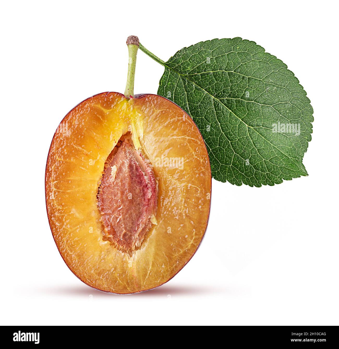 Red Plum cut in half with leaf isolated on white background Clipping Path. Full depth of field