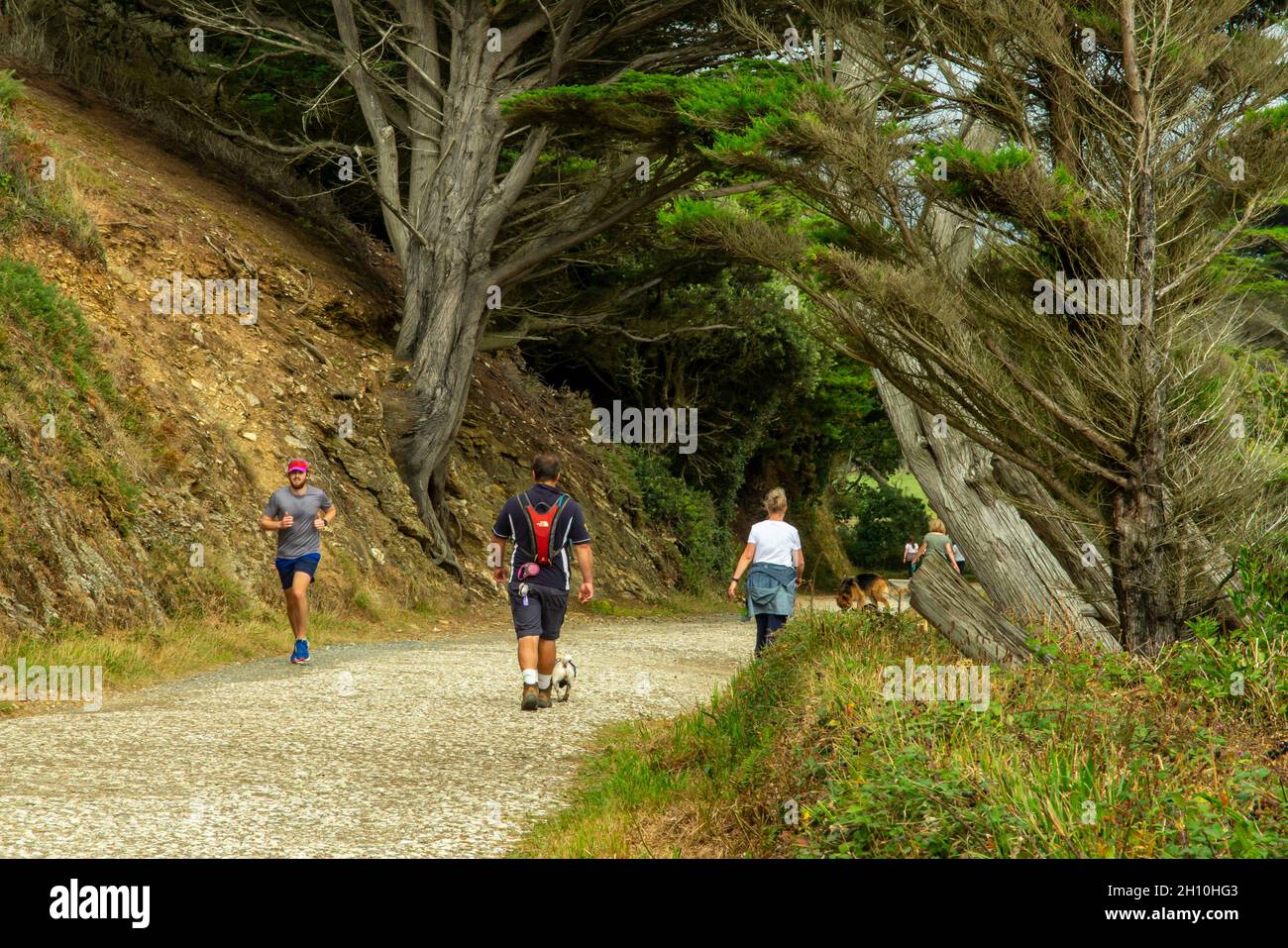 Walkers and runners on a footpath next to The Loe a lake on the Penrose