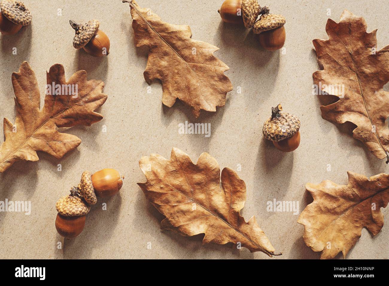 Autumn pattern composition acorns hi-res stock photography and images ...