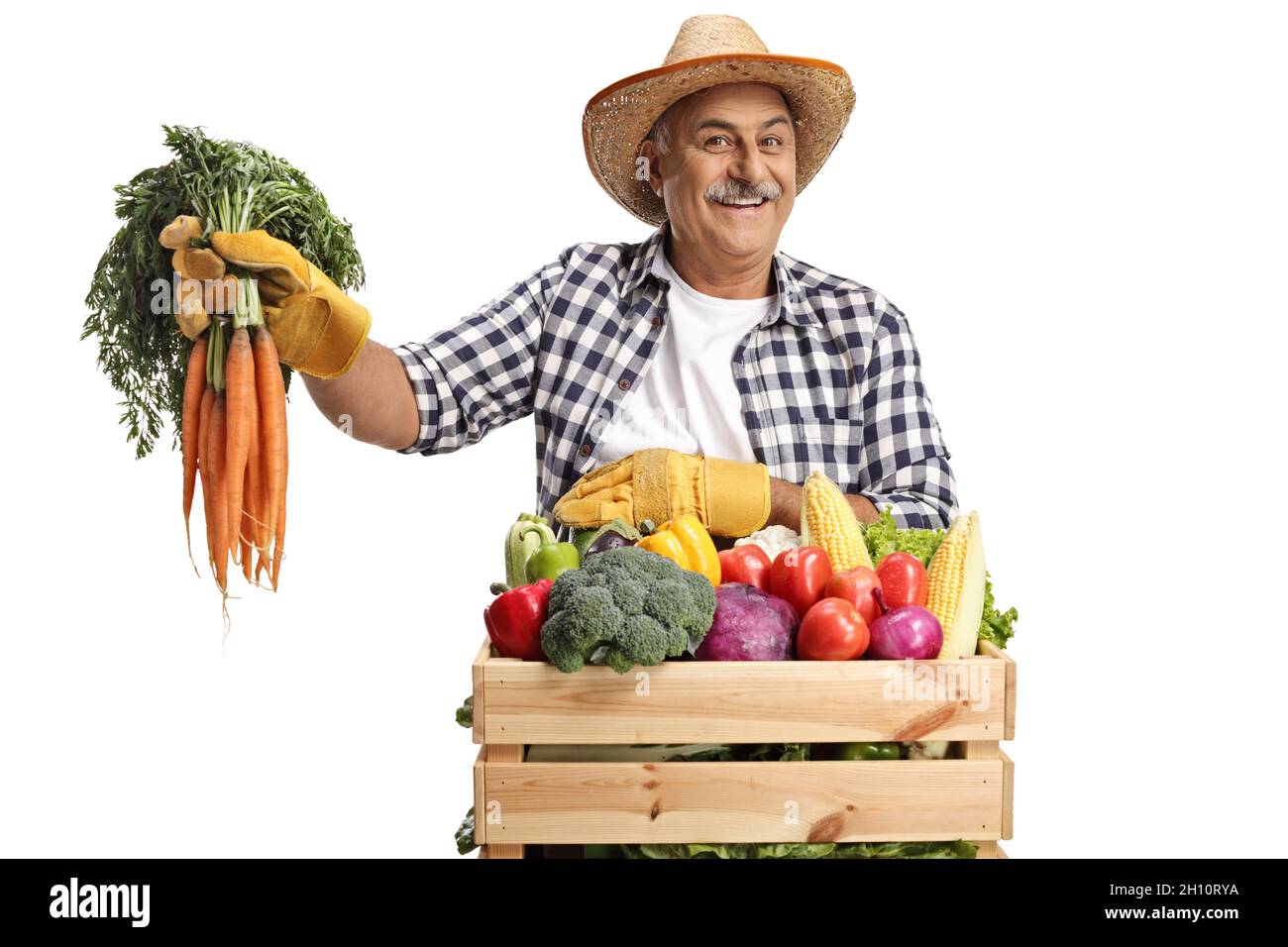 Mature farmer leaning on a crate and holding carrots isolated on white background Stock Photo
