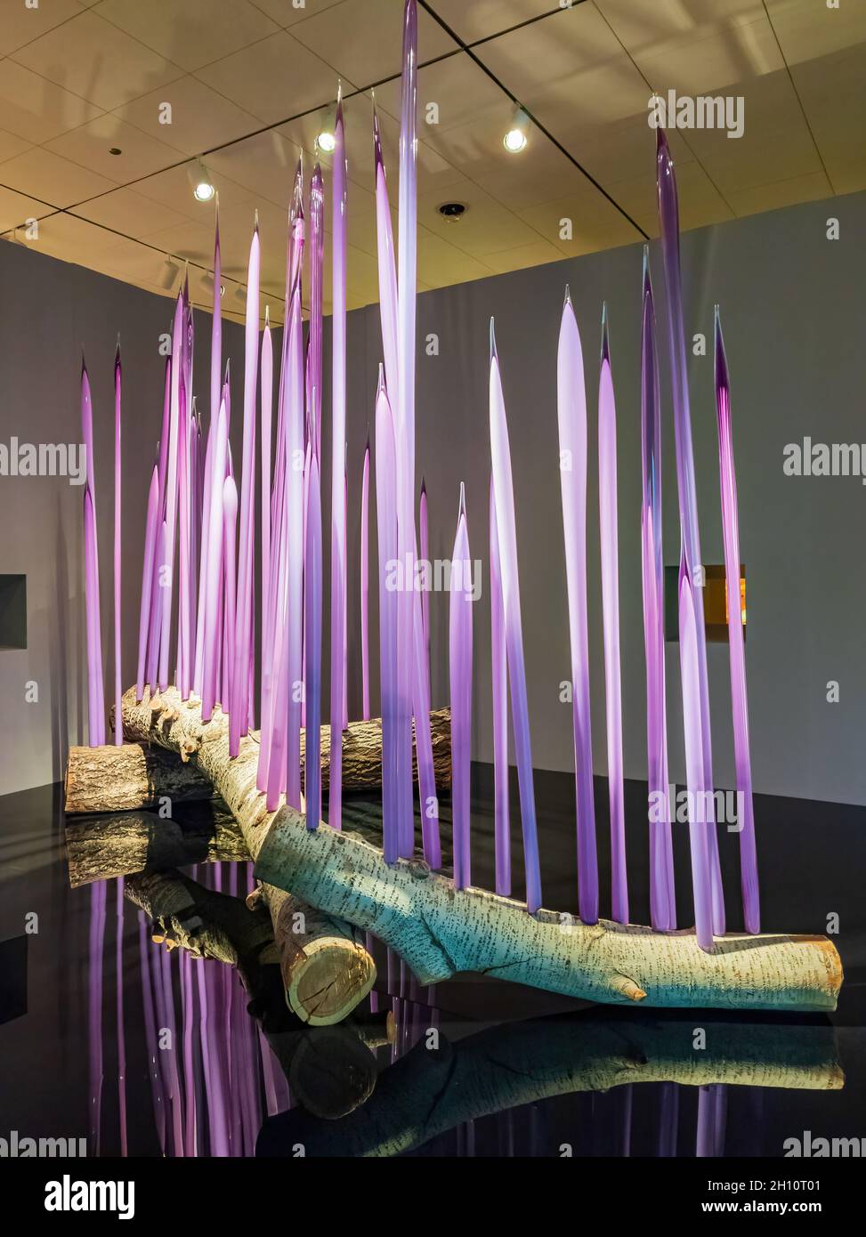 Oklahoma, OCT 2, 2021 - Dale Chihuly, The Collection exhibit in the Oklahoma City Museum of Art Stock Photo