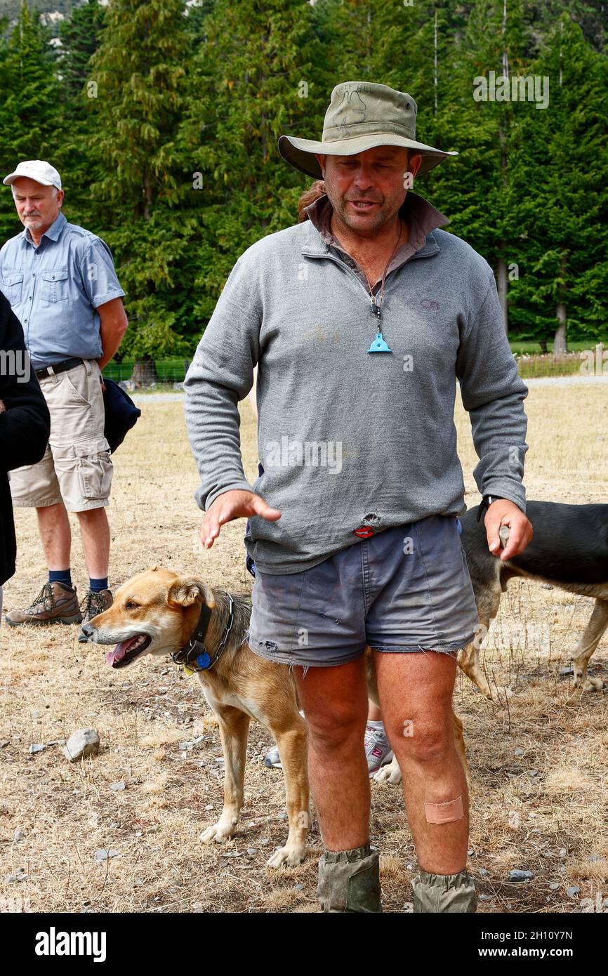 man discussing sheep, rugged appearance, hands moving, dogs, job