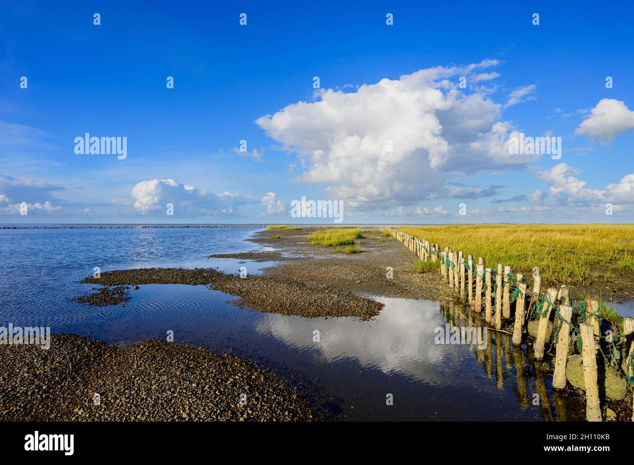 Salt marshes during low tide along a road through the sea to the island of Mandø in Vadehavet National Park, Denmark Stock Photo