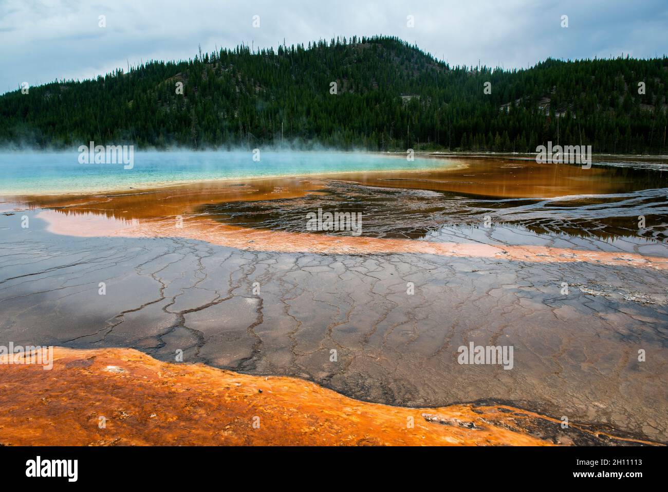 Colorful Bacterial Mats at Grand Prismatic Hot Spring, Midway Geyser Basin, Yellowstone National Park, Wyoming Stock Photo