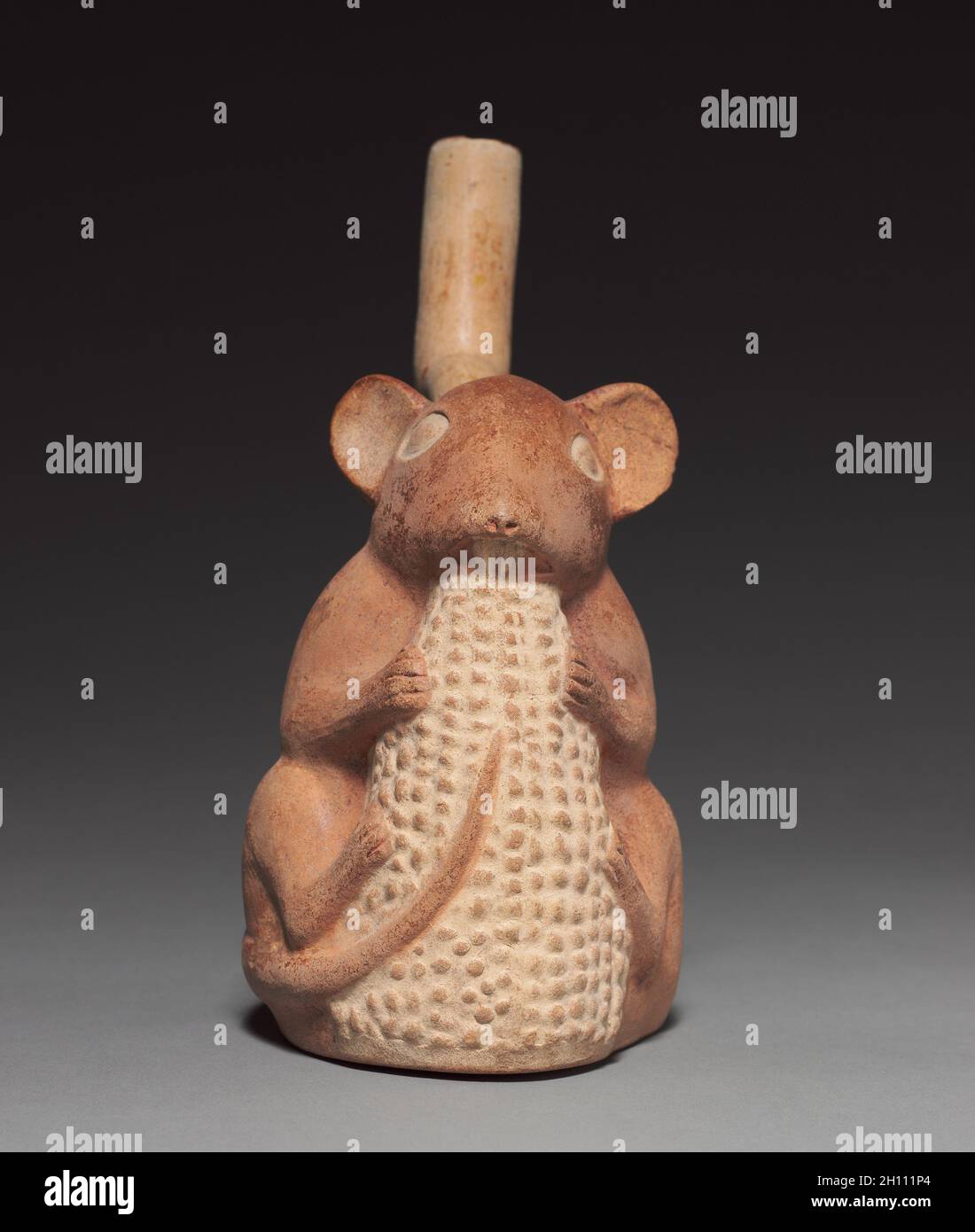 Rodent with Corn, 50-800. Peru. Pottery; overall: 23.6 x 10.9 x 18.7 cm (9 5/16 x 4 5/16 x 7 3/8 in.). Stock Photo