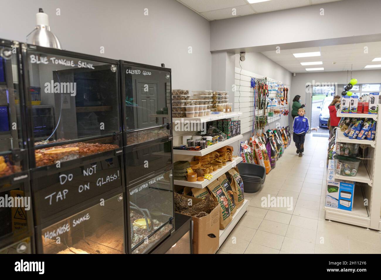 Cork, Ireland, 15th October 2021. Dobs Pets and Exotics Grand Opening