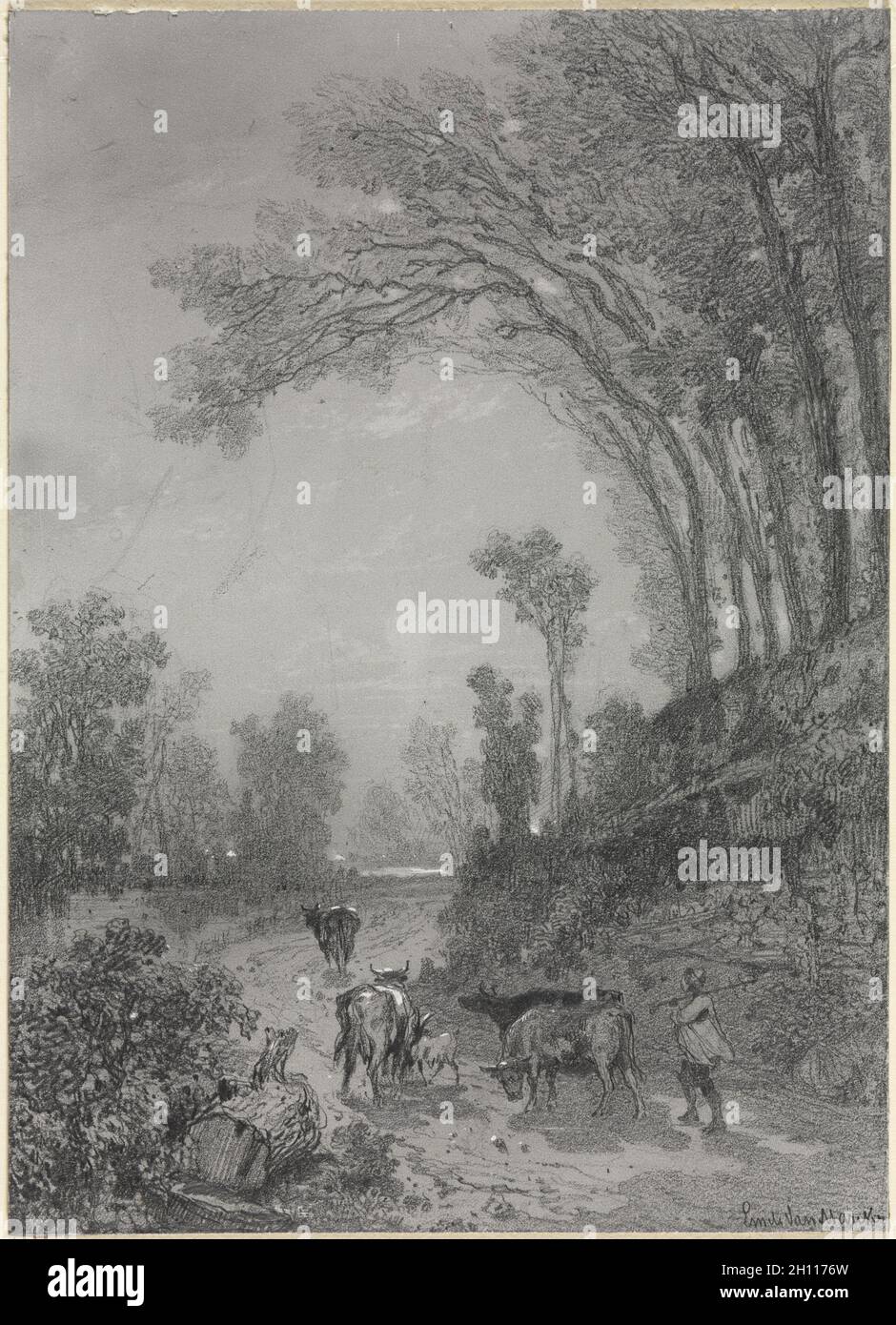 Landscape with Cows, second half 19th century. Émile van Marcke (French, 1827-1890). Graphite, with gray ground scratched away for heightening; sheet: 15.8 x 11.4 cm (6 1/4 x 4 1/2 in.). Stock Photo