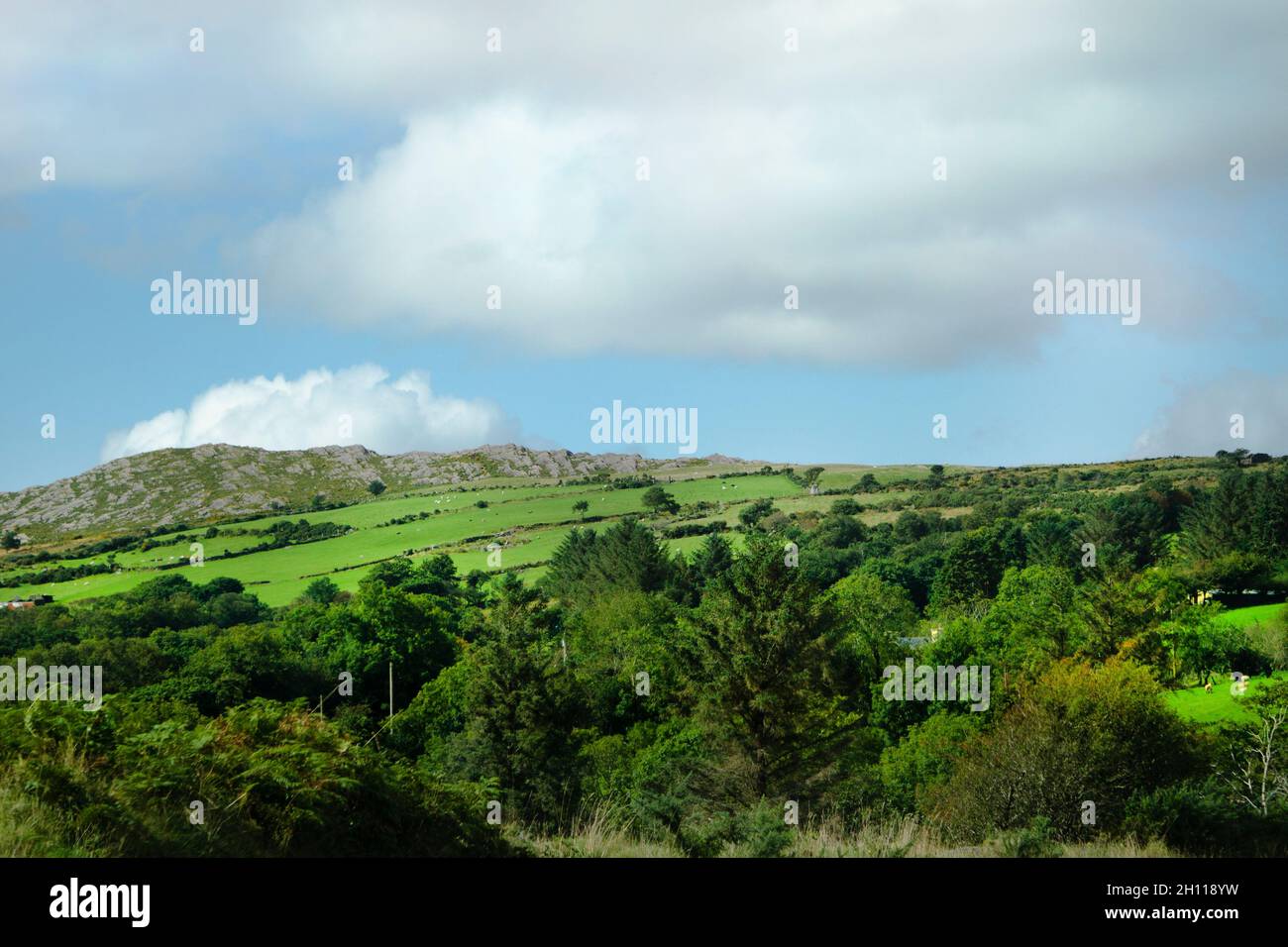 Various photos taken throughout the green and hilly rural Ireland. Stock Photo
