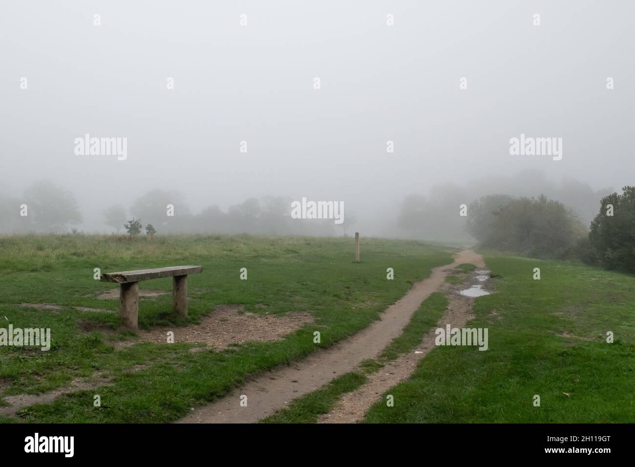 Bench next to trail and grass at Wanstead park covered in mist during autumn at London Stock Photo