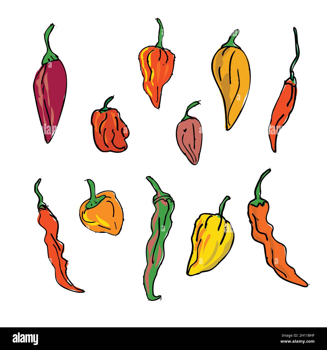 Collection or Set of Different Hot Chili Peppers Drawing Stock Photo