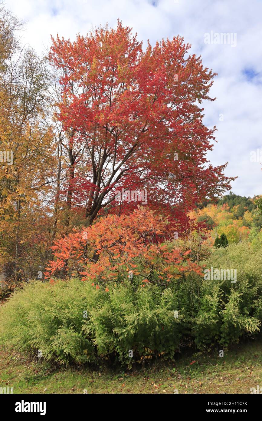 Autumn colors in New Hampshire Stock Photo