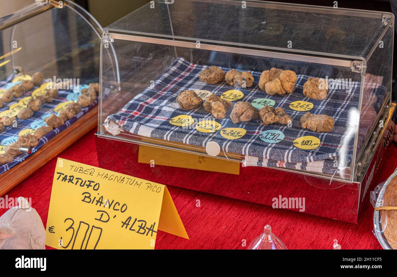 Alba, Cuneo, Piedmont, Italy - October 12, 2021: White truffles displayed for sale at the Alba truffle fair (Fiera del Tartufo di Alba) Stock Photo