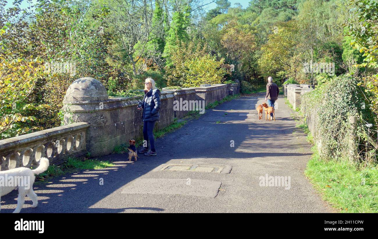 Dog suicide bridge overtoun hires stock photography and images Alamy