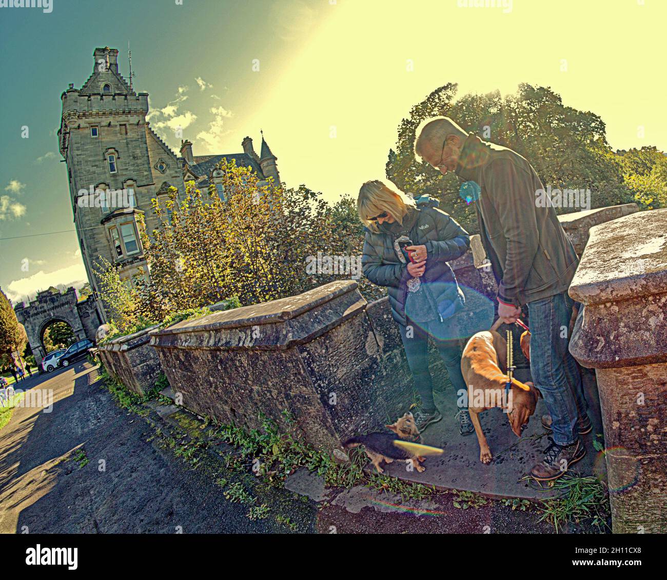 Dog bridge overtoun hires stock photography and images Alamy