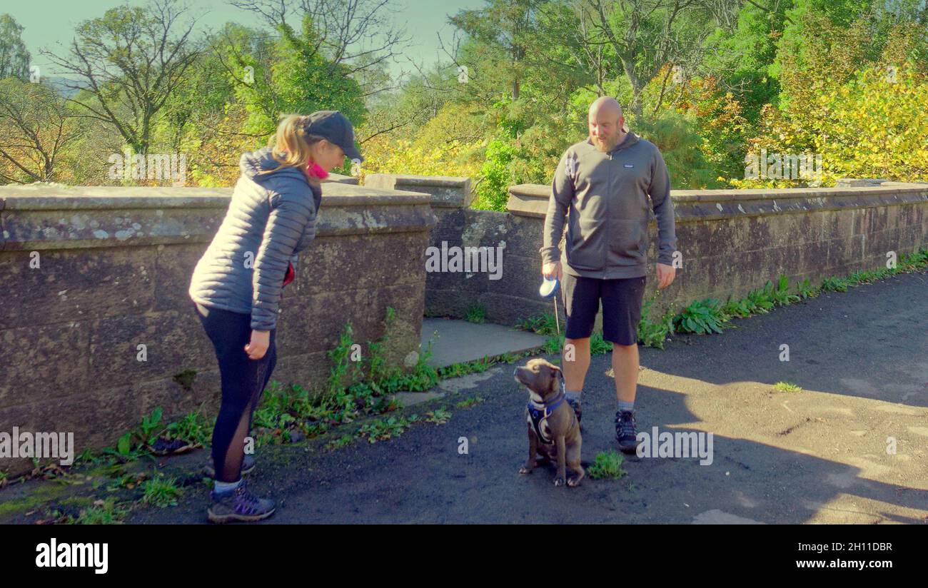 Dog suicide bridge overtoun hires stock photography and images Alamy