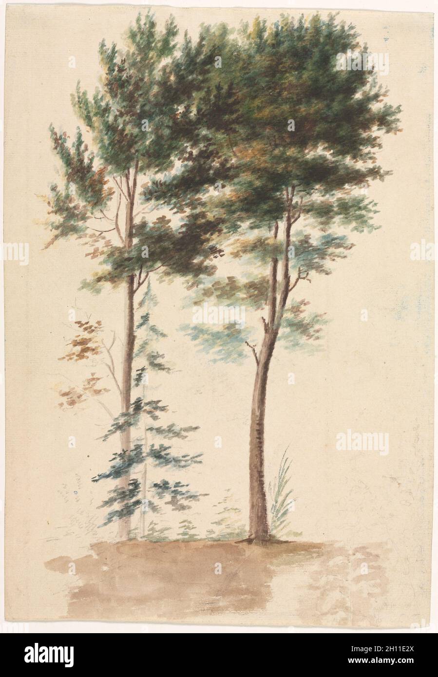 Trees, 1700s(?). Jean Baptiste Pillement (French, 1728-1808). Watercolor over graphite; sheet: 30.3 x 21.3 cm (11 15/16 x 8 3/8 in.). Stock Photo