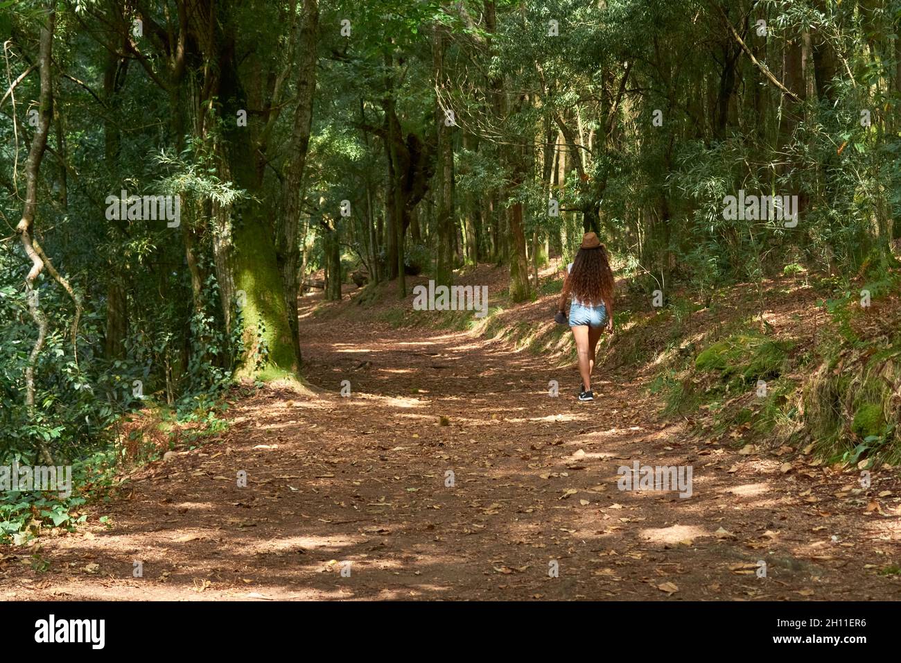 Rear view of a female on a hiking trail in the forest Stock Photo - Alamy