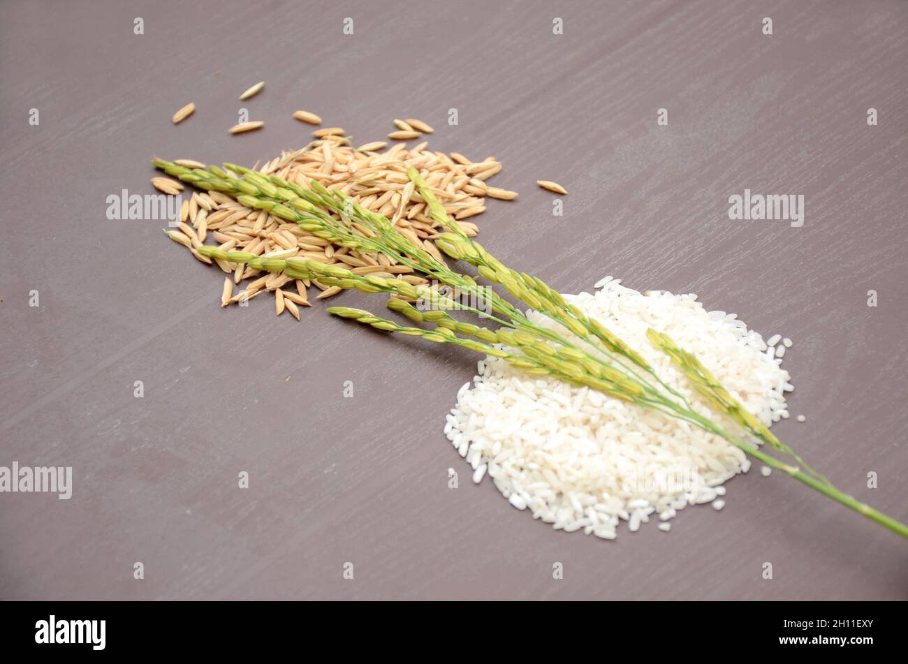 Green paddy plant with brown rice grains and white rice on a wooden table  Stock Photo - Alamy, image size:1300x951