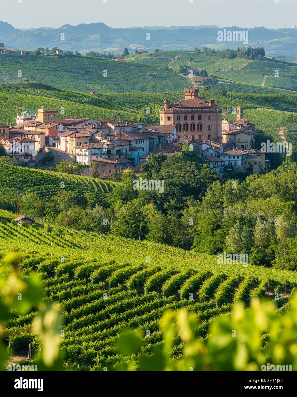 The beautiful village of Barolo and its vineyards on a summer afternoon