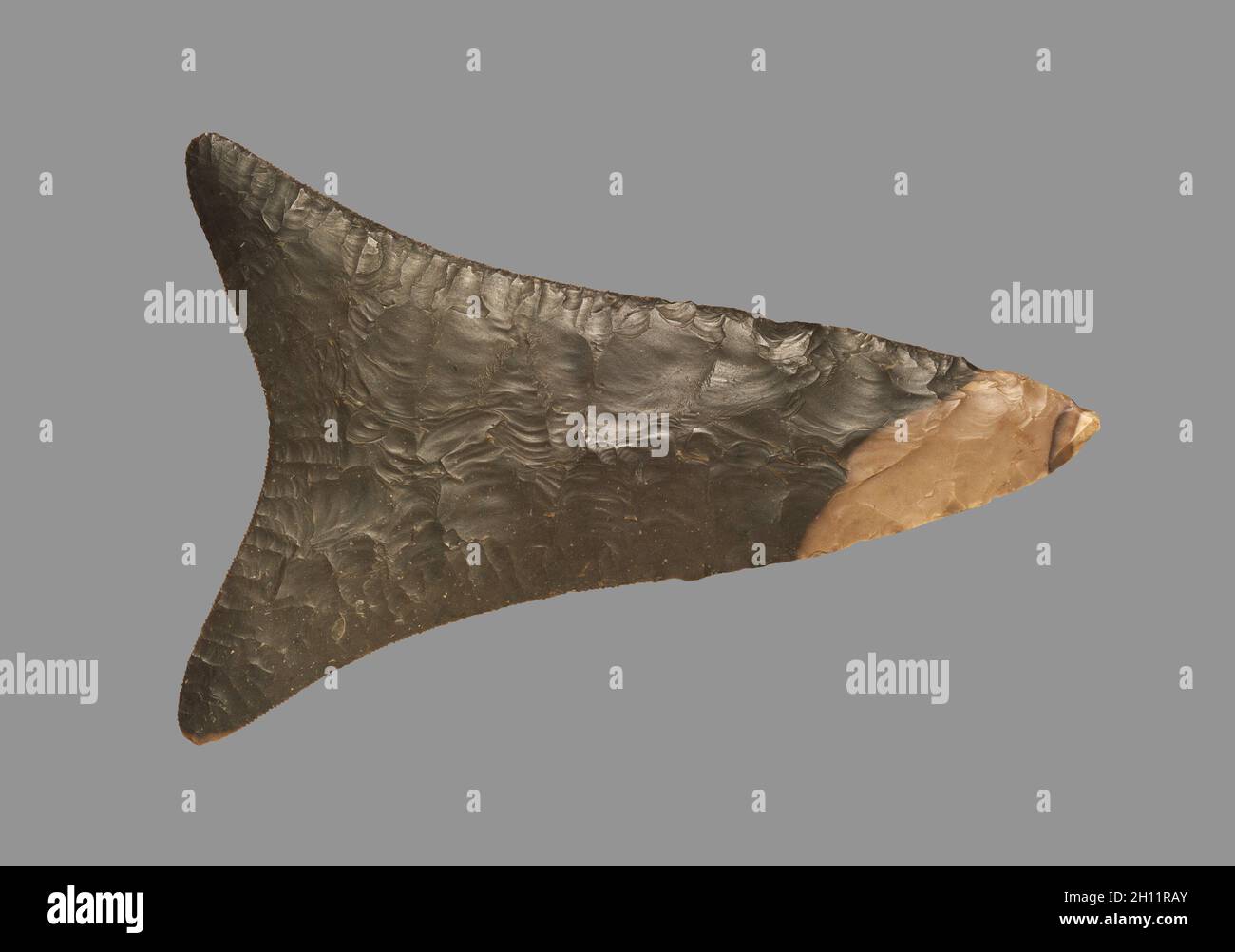 Fishtail Knife, 4500-4000 BC. Egypt, Predynastic Period, Naqada Ia-IIa periods. Dark brown- to dark green-colored flint; overall: 10 cm (3 15/16 in.). Stock Photo