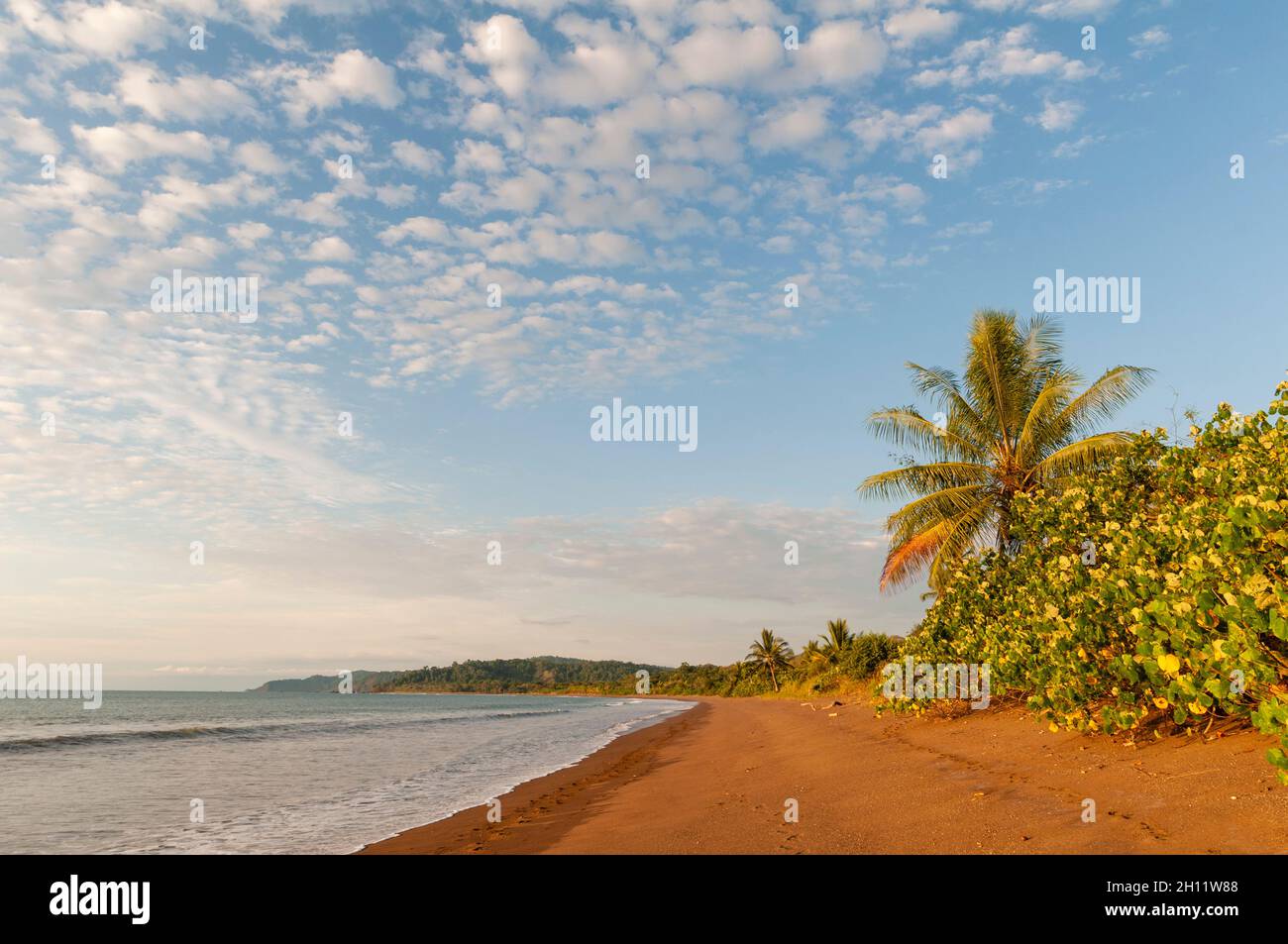 Gentle surf surging onto the sandy beach at Drake Bay. Drake Bay, Osa Peninsula, Costa Rica. Stock Photo