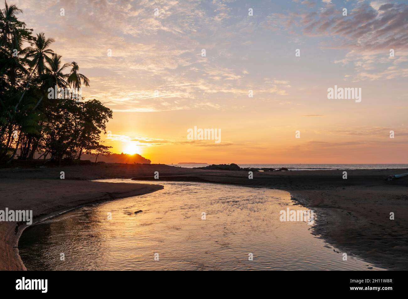 Sunset and silhouetted palm trees on a sandy beach. Drake Bay, Osa Peninsula, Costa Rica. Stock Photo