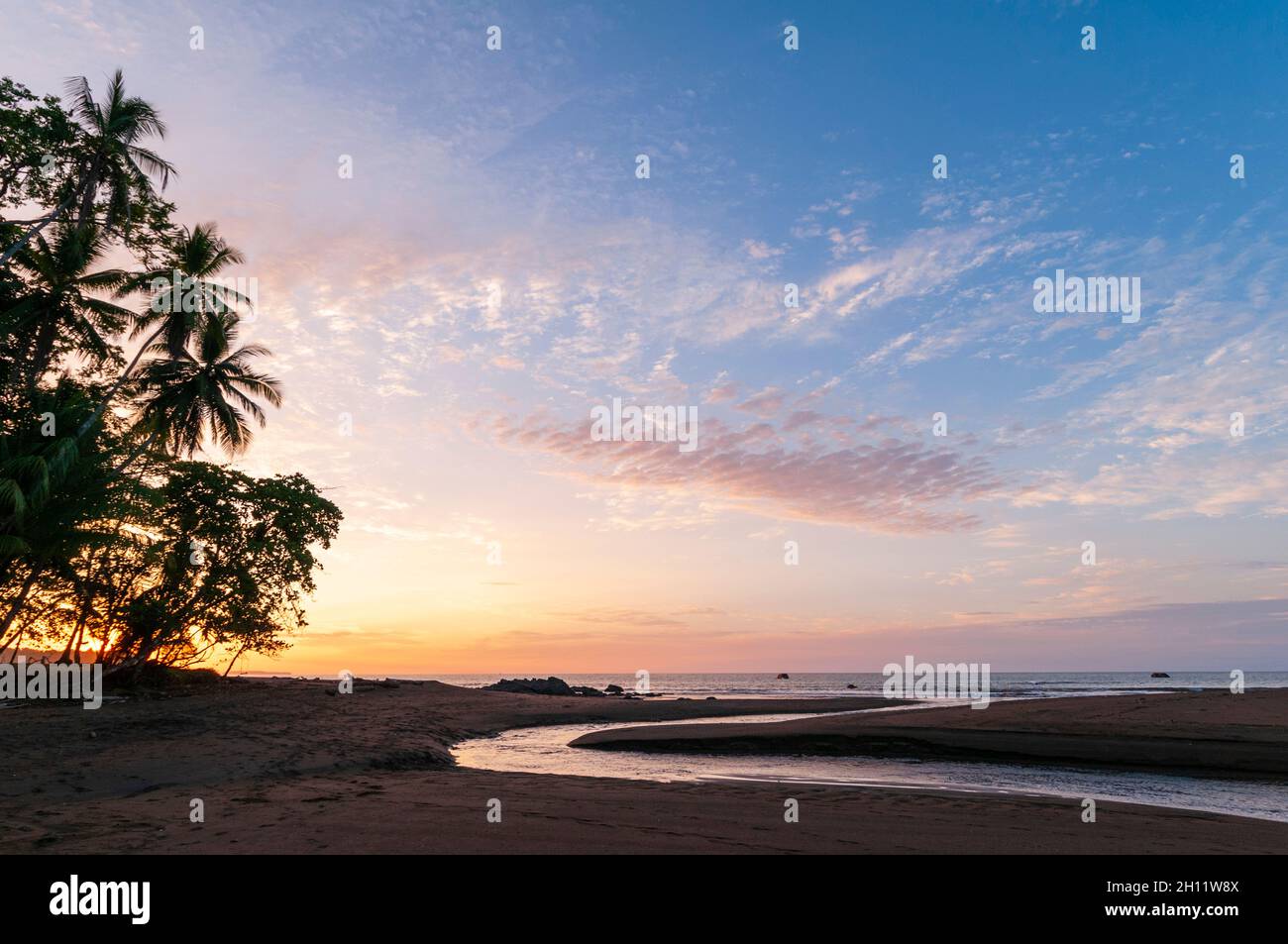Silhouetted palm trees on a sandy beach at sunset. Drake Bay, Osa Peninsula, Costa Rica. Stock Photo
