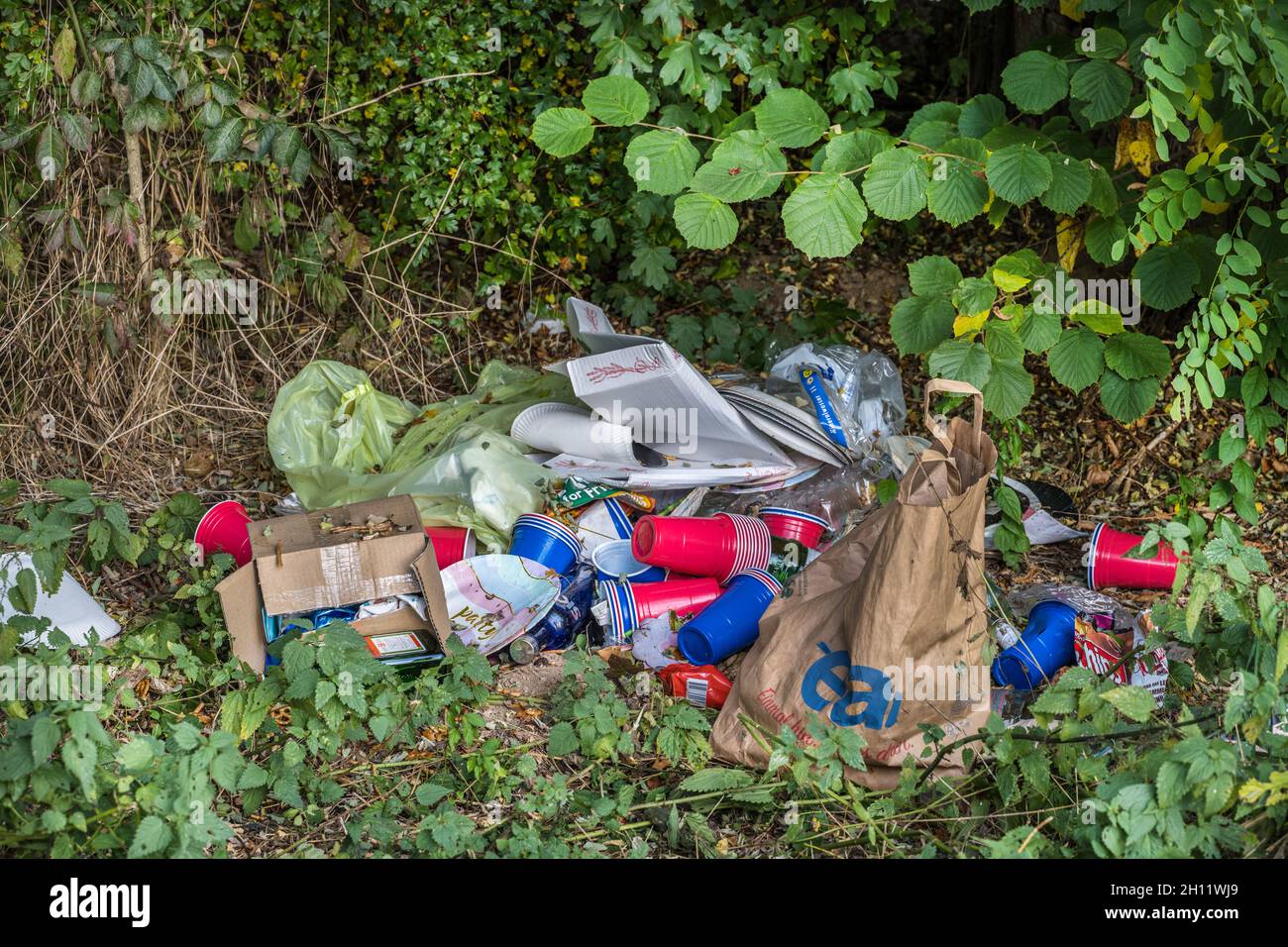 meet the environmental pig, Environmental outrage, Waste in nature, Litter, irresponsible behaviour, Pollution, man and nature, green. crime Stock Photo