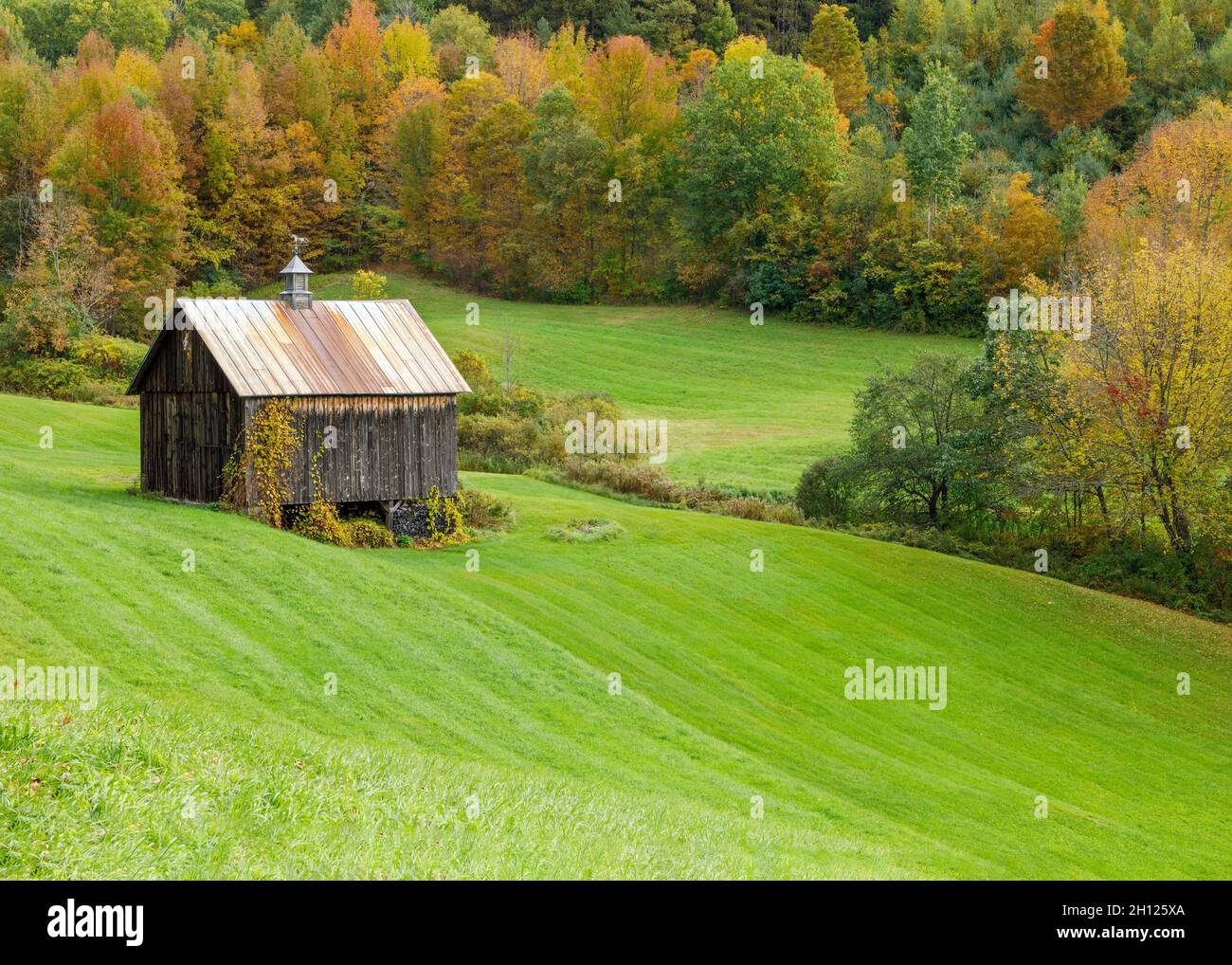 Shack on Sleepy Hollow Farm in autumn, Cloudland Road, Woodstock
